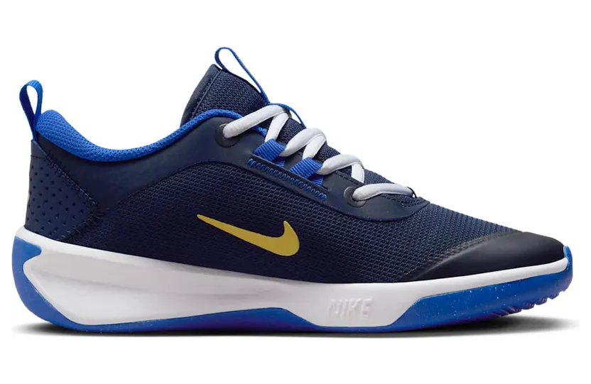 nike-omni-multi-court DM9027-404