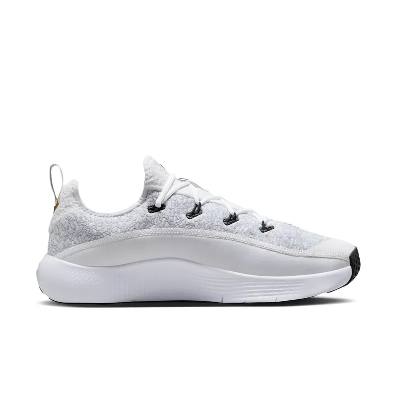 Nike LeBron TR 1 Wolf Grey White Metallic Gold (FJ6151-006)