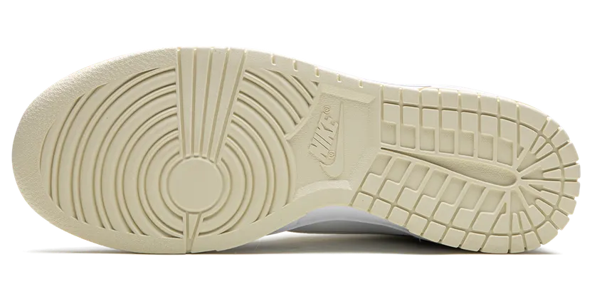 nike-dunk FN3504-100