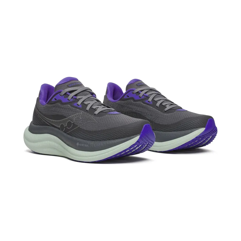 SAUCONY Triumph 23 GTX “Shadow / Aloe” (S11025-01)