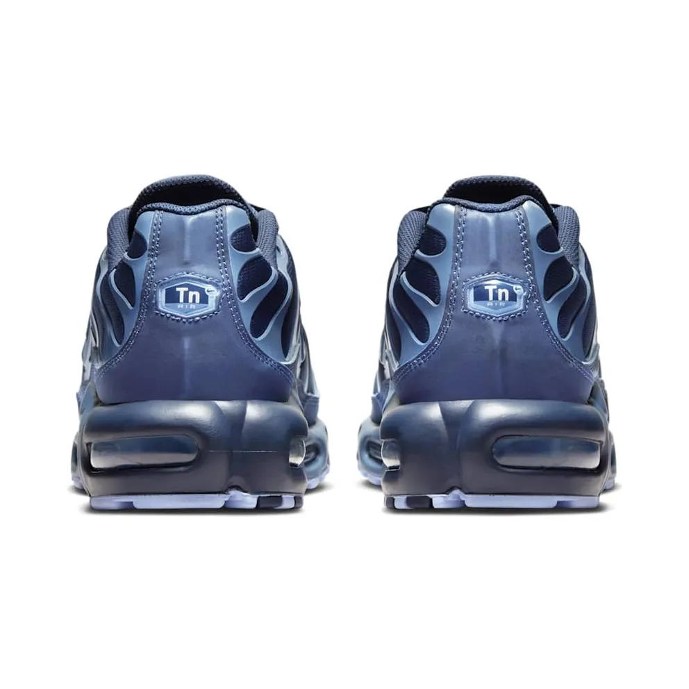 Nike Air Max Plus Obsidian Aluminum (IM6601-451)
