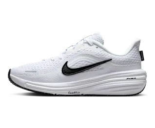 Nike Winflo 12 ‘ Road “White/Pure Platinum/Black” (IQ9767-100)