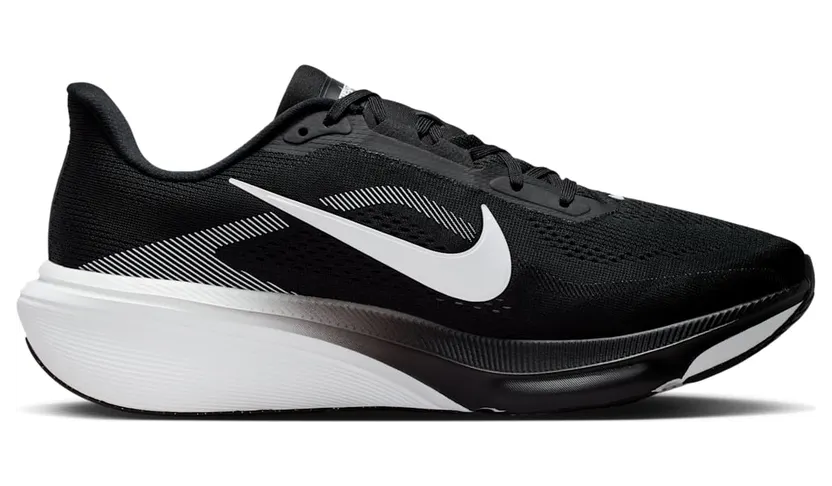 nike-air-pegasus IR1228-001