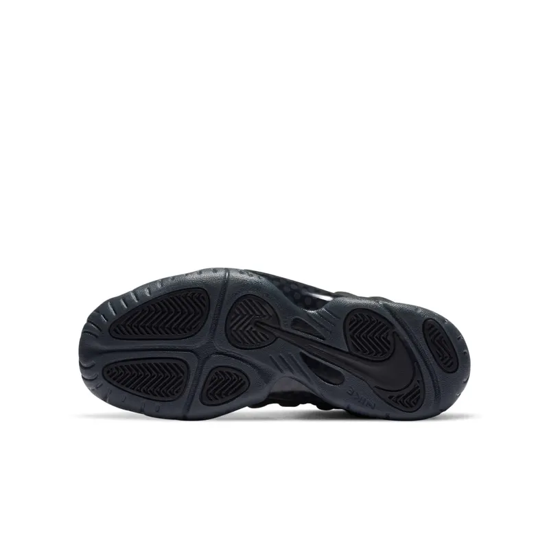 Nike Air Foamposite One Anthracite 2020 (GS) Black/Anthracite-Black (644791-014)