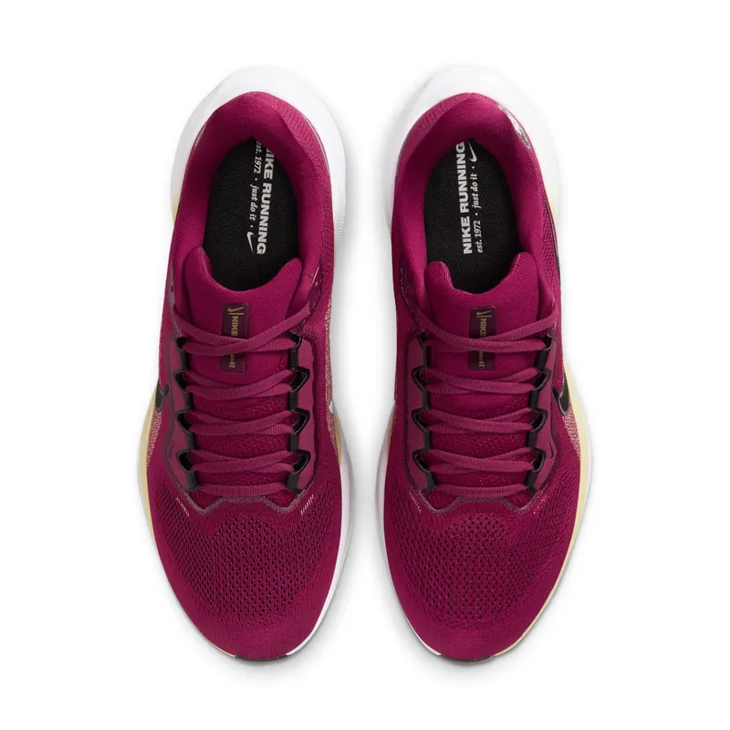 Nike Air Zoom Pegasus 41 Florida State Seminoles (IB3255-600)