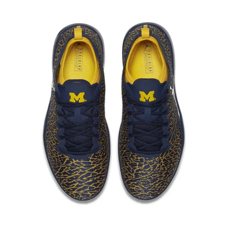 jordan-trainer-1-low 845403-420