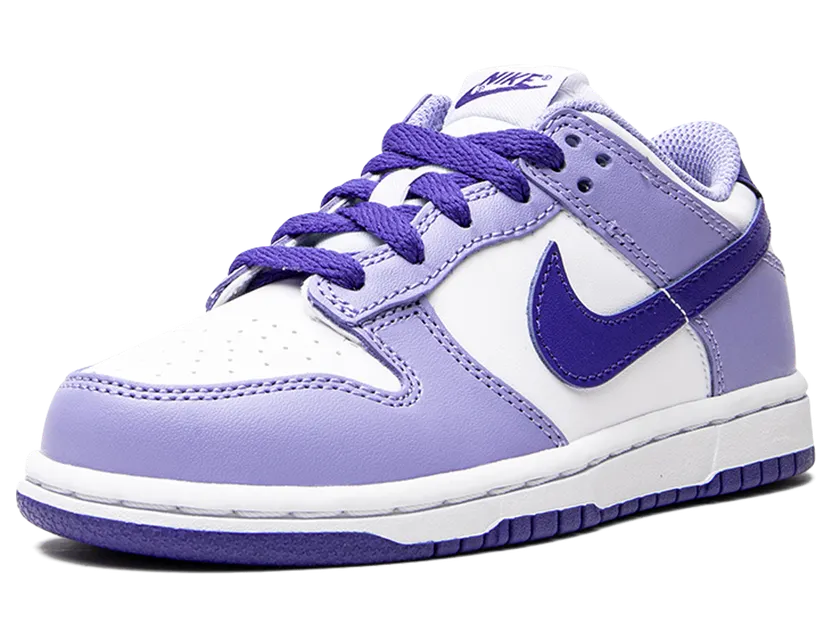 nike-dunk DZ4457-100