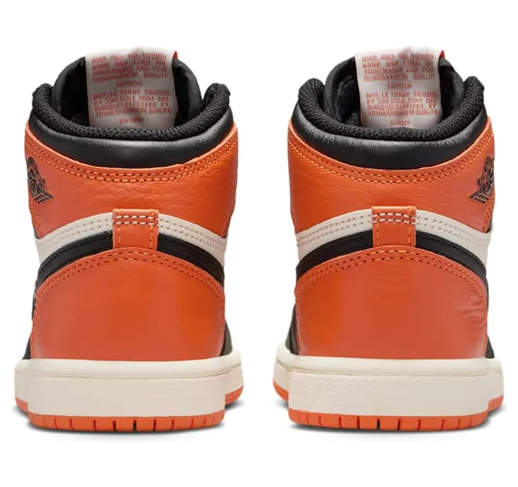 air-jordan-1 FD1412-008