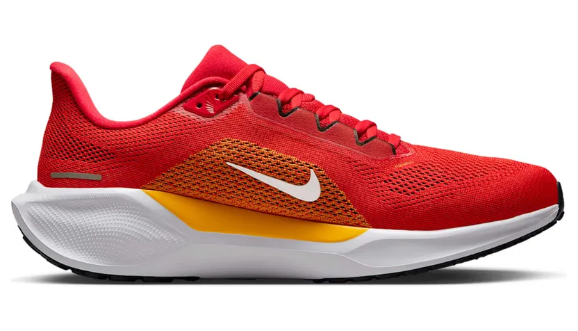 nike-air-zoom IB3209-600