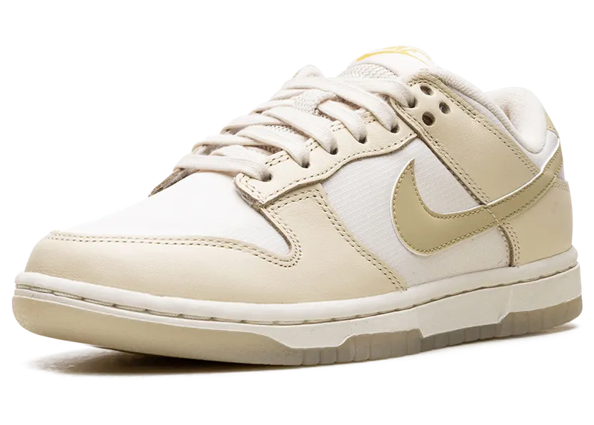 nike-dunk FZ2552-100