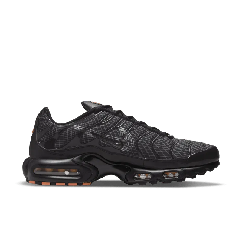 Nike Air Max Plus 3D Swoosh Black (DR0138-001)