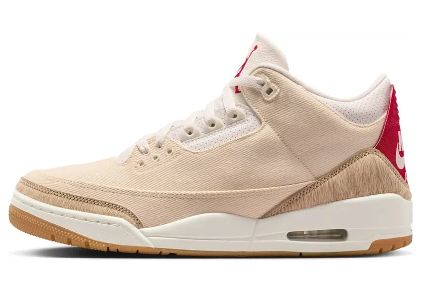 Air Jordan 3 IR0910-400