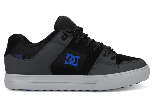 DC Pure Wnt (ADYS300151021)