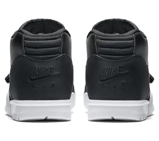 air-jordan-trainer-1 317554-005