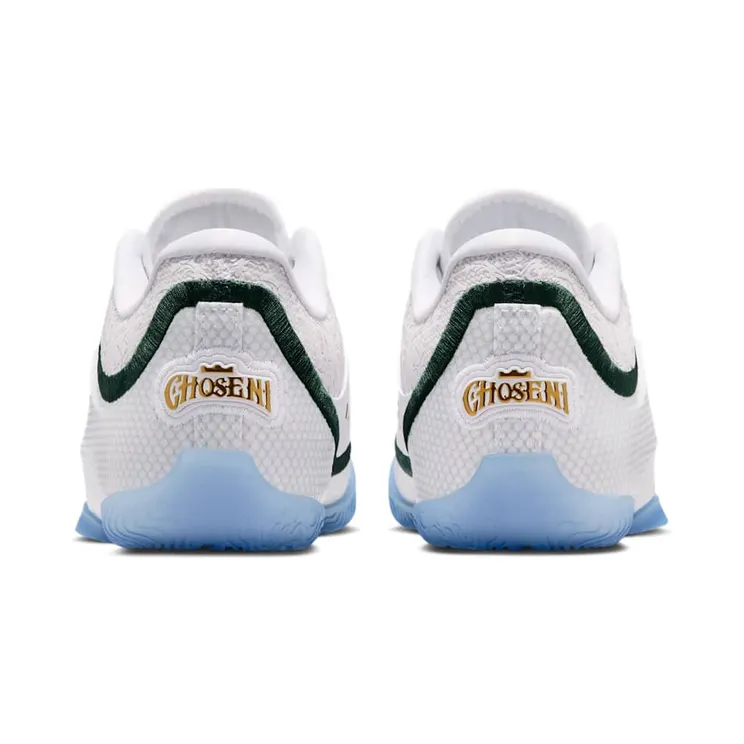 nike-lebron HV3596-100