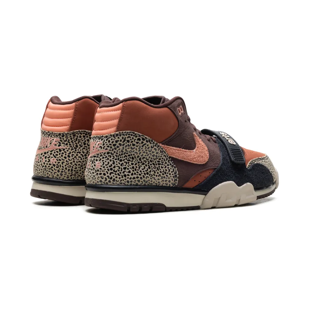 Nike SB Air Trainer 1 “Arts-Rec – Limestone” (IF0501-200)