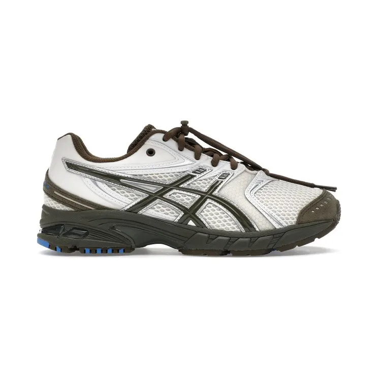asics-gel-ds 1203A810-101