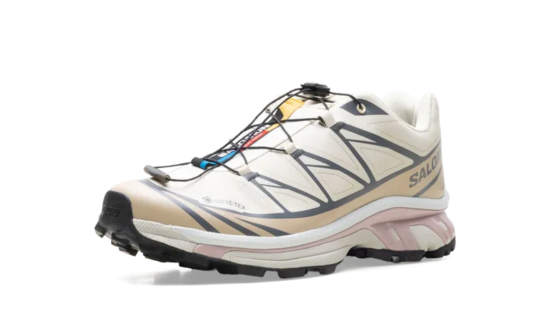 Salomon XT-6 GTX “Almond Milk Mauve” (L47581-200)