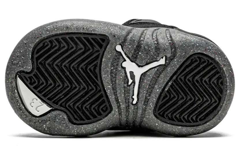 air-jordan-12 DM5206-006