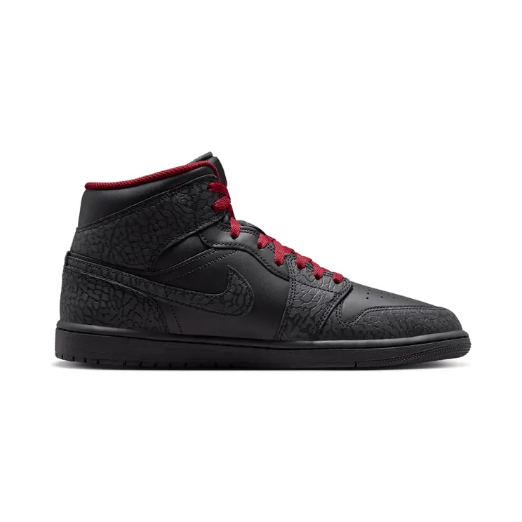 air-jordan-1 IX3527-010