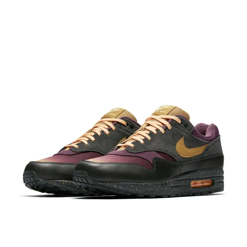 Nike Air Max 1 Pro Purple Fade Anthracite/Pro Purple-Tangerine Tint-Elemental Gold (875844-002)