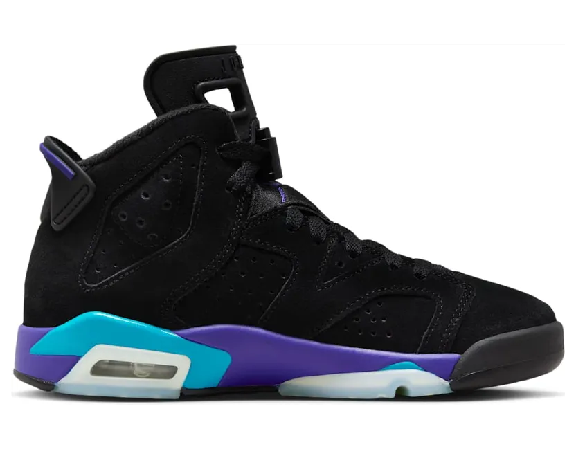 air-jordan-6 384665-004