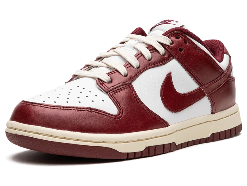 nike-dunk FJ4555-100