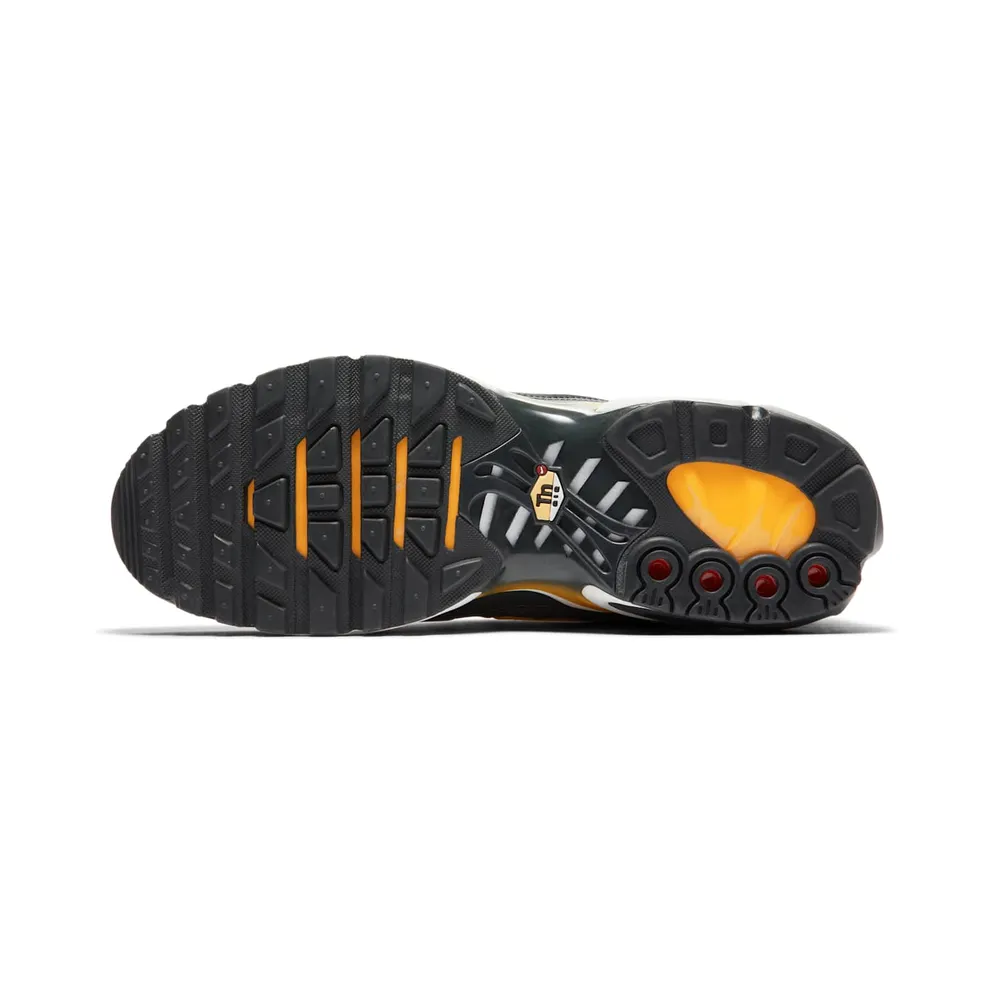 Nike Air Max Plus Liquid Metal Anthracite Anthracite/Amarillo-Summit White (AJ2013-005)