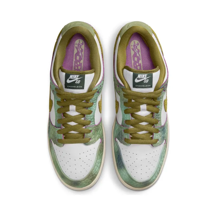 nike-dunk-sb IF1889-900