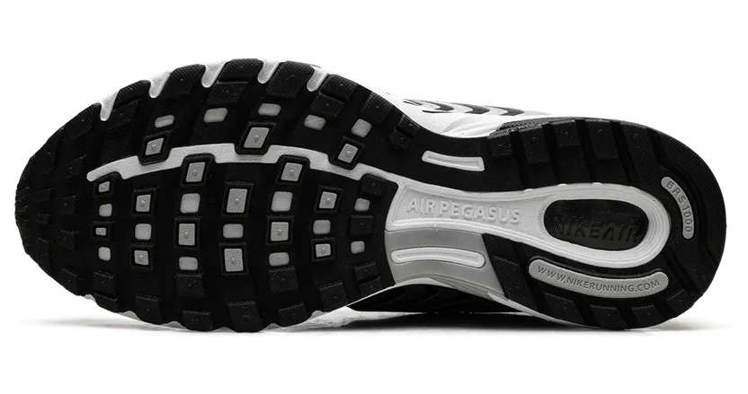 nike-air-pegasus HQ3031-002
