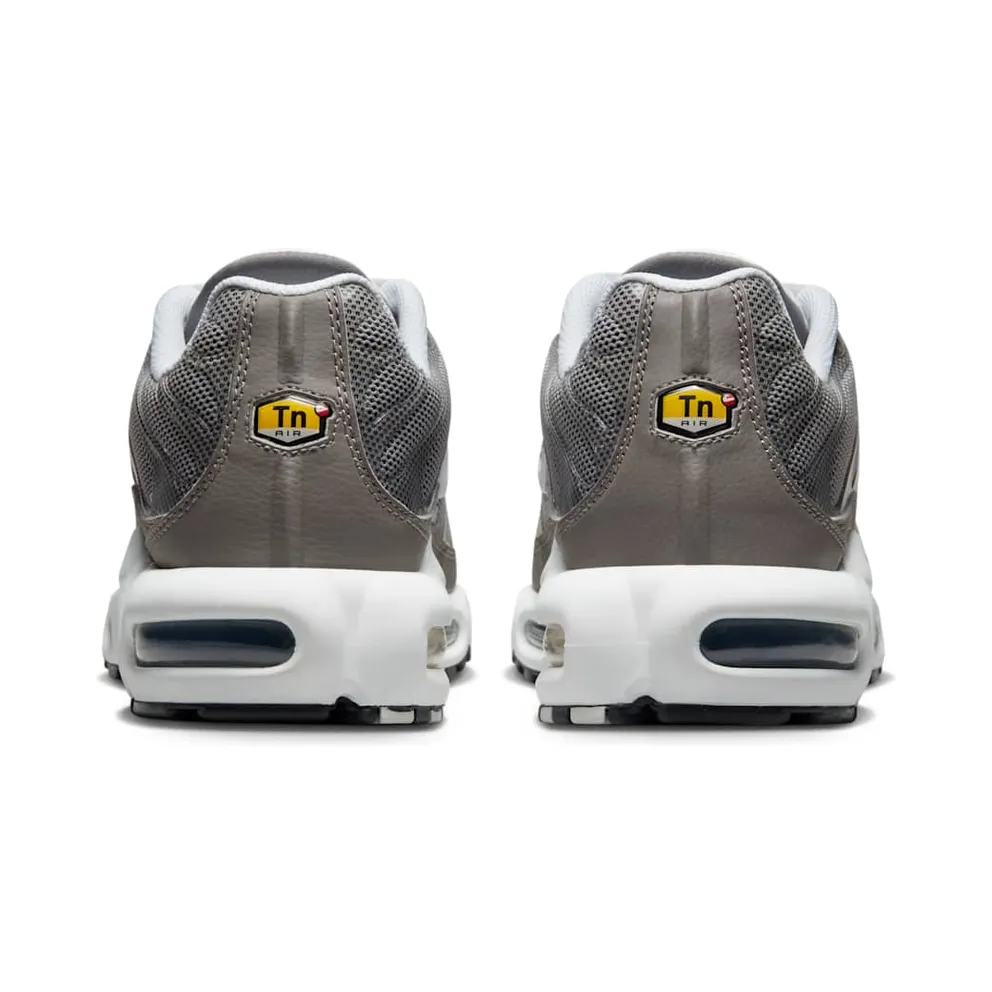 Nike Air Max Plus Flat Pewter (DV7665-002)