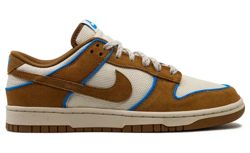 nike-dunk FN5825
