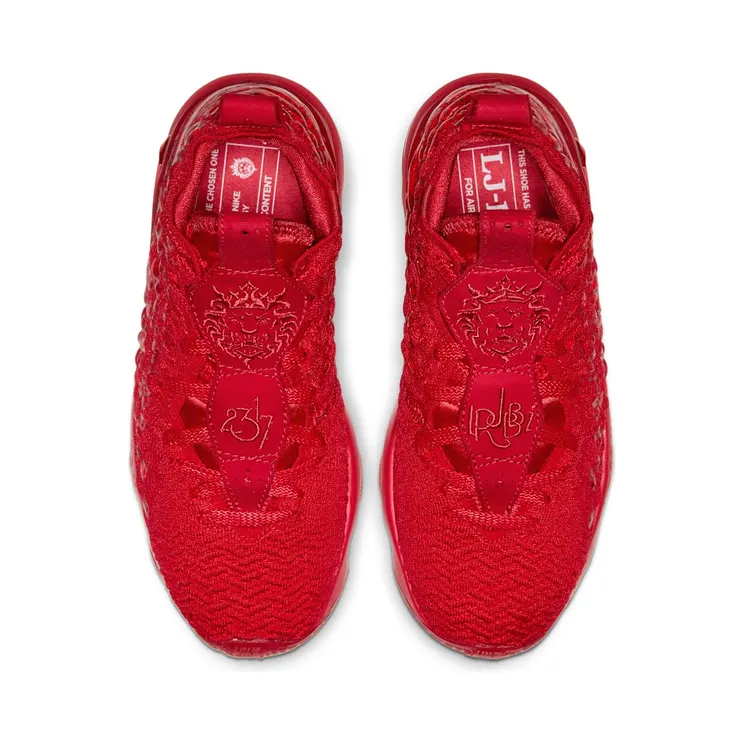 nike-lebron-17 BQ5594-600