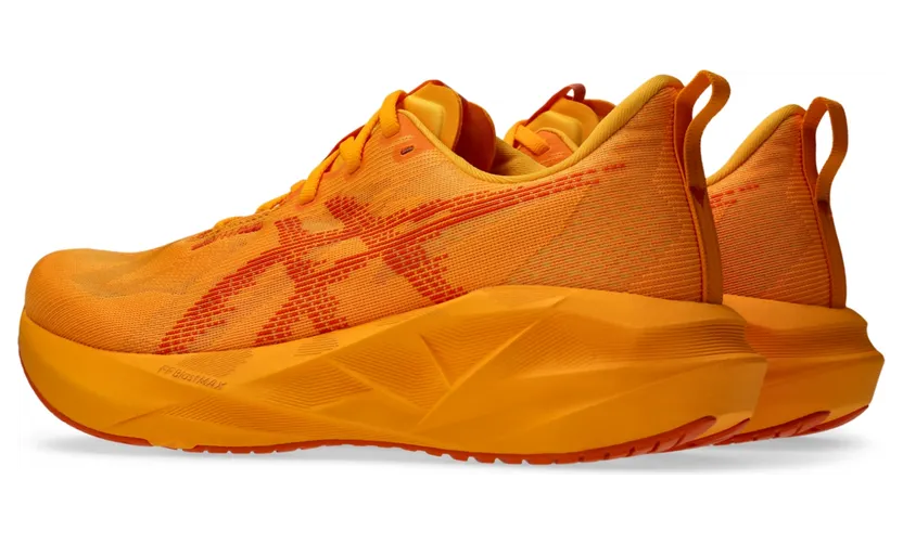 asics-novablast 1011B974-800