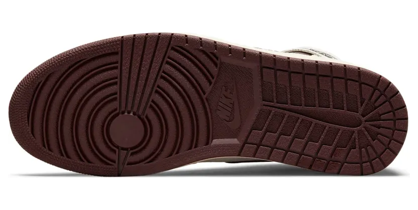air-jordan-10 DO7097-100