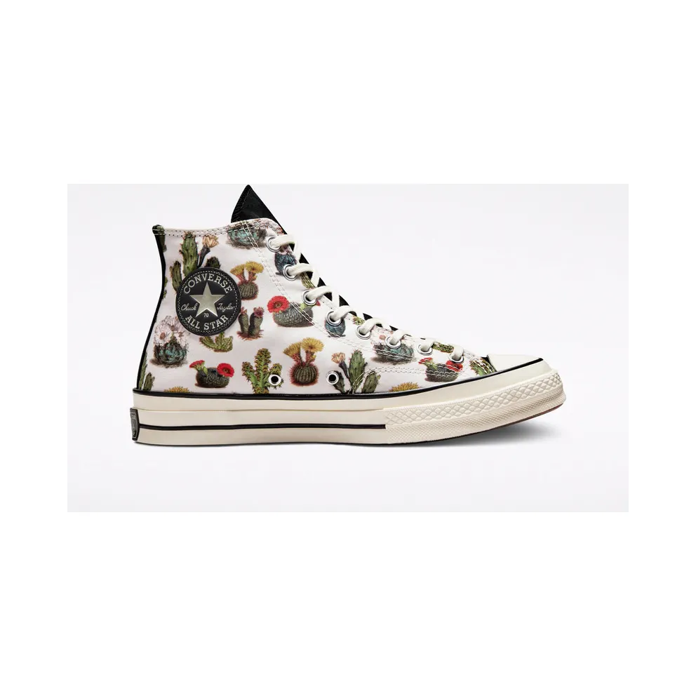 Converse Chuck 70 Succulents Egret/Black/egret (A00653C)
