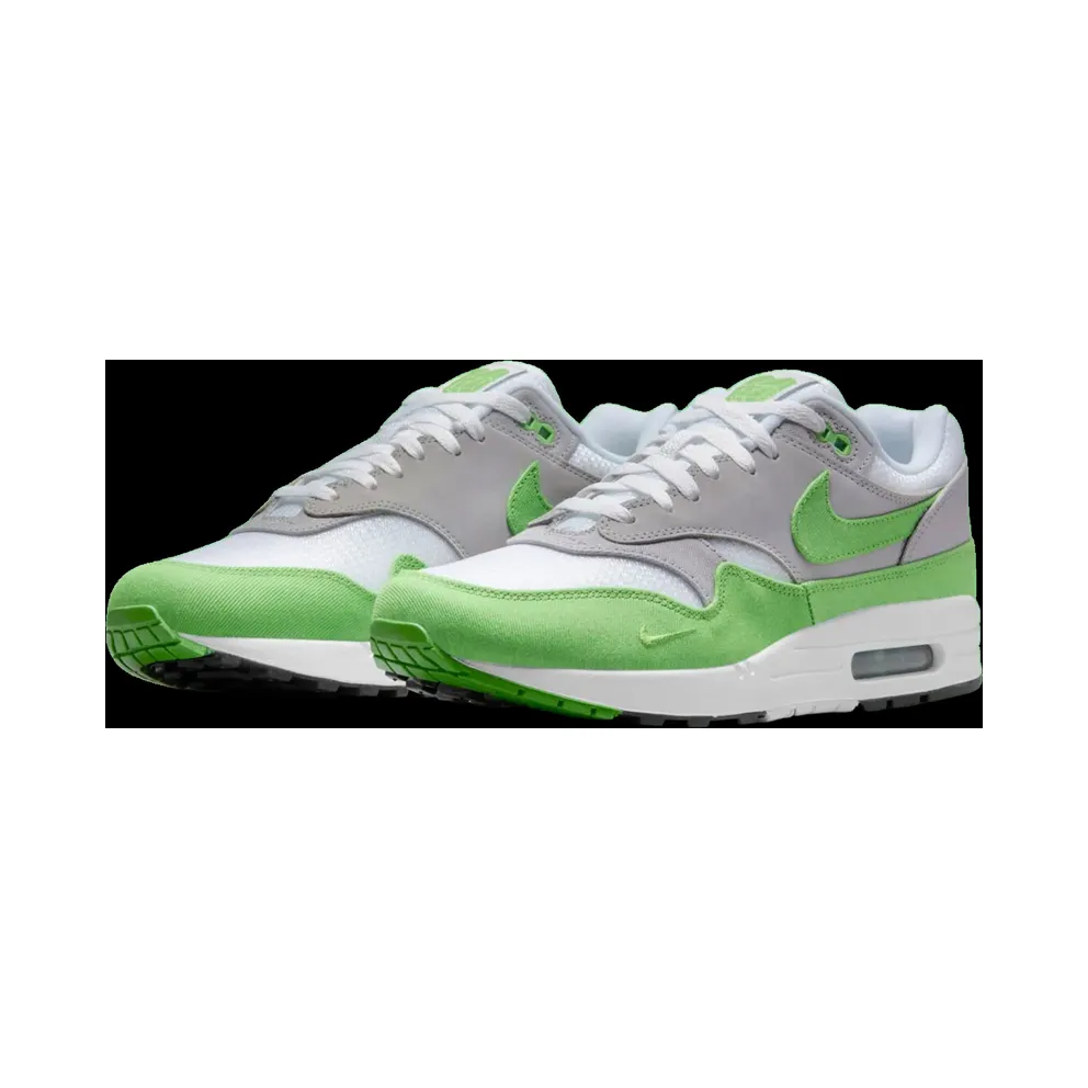Nike Air Max 1 Patta 20th Anniversary (HF1012-300)