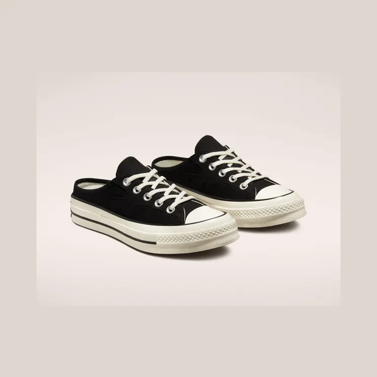 converse-chuck-taylor-all-star 172591C