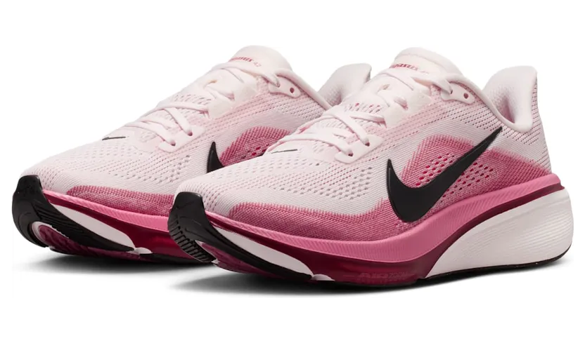nike-air-pegasus IB1881-600