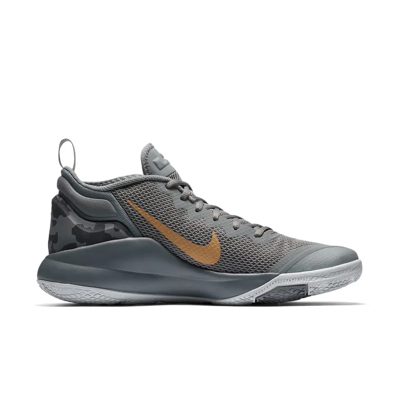 Nike Lebron Witness II Cool Grey Metallic Gold (942518-009)