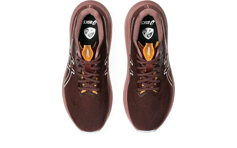 ASICS GT-2000 14 TR Nature Bathing Dark Red Planet (1012B902-600)