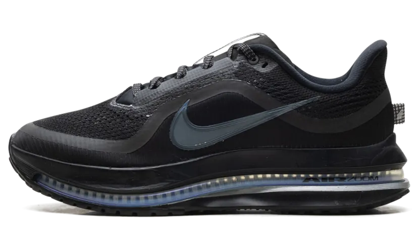 Nike Pegasus Premium “Black Metallic Silver” (HQ2592-005)