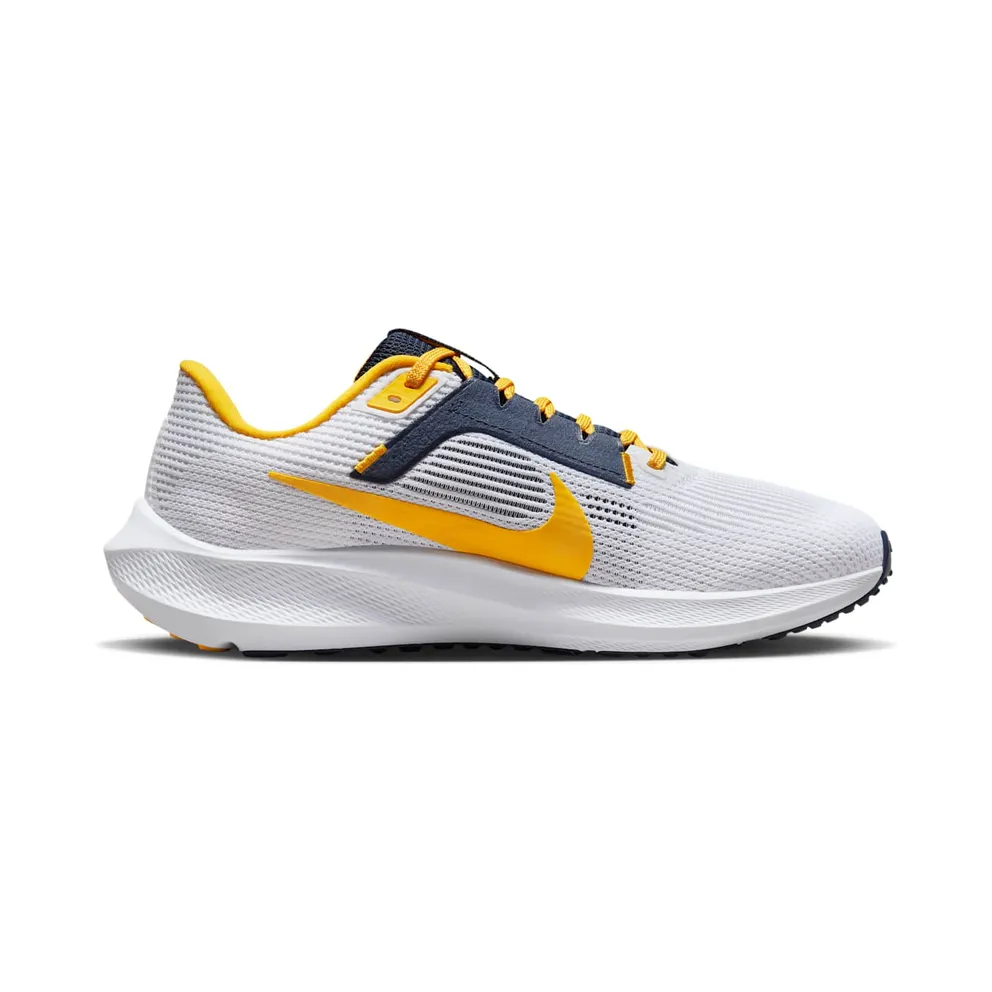 Nike Air Zoom Pegasus 40 Michigan (DZ6001-100)