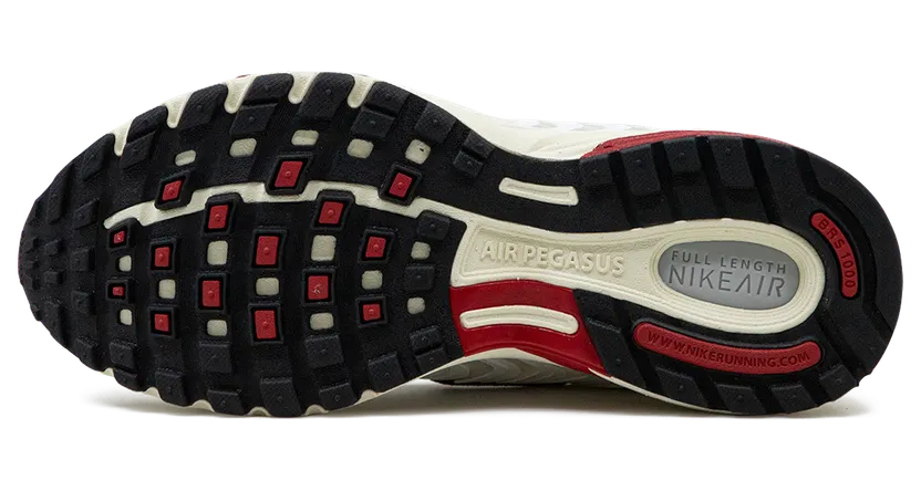 nike-air-pegasus FN7153-101