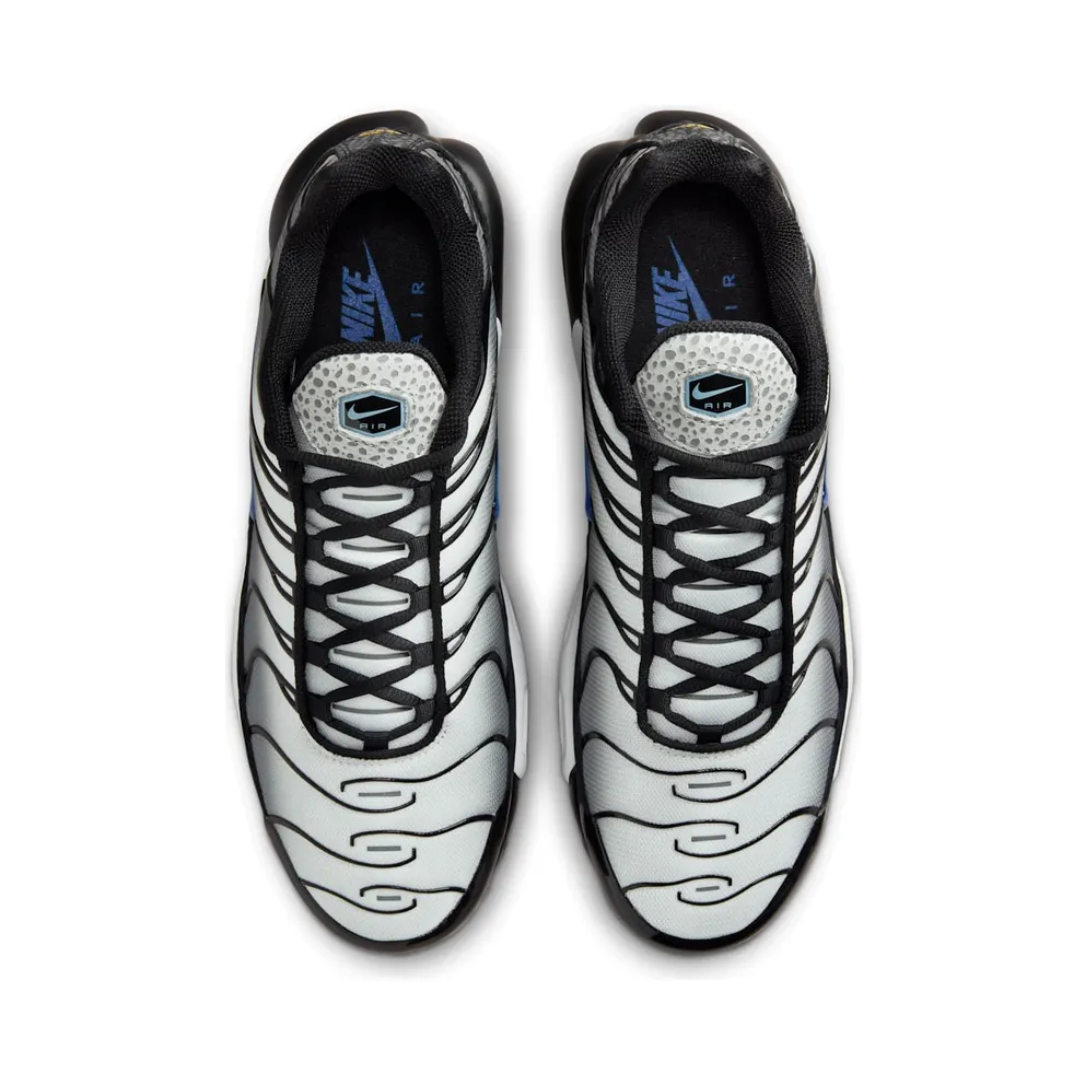 Nike Air Max Plus Kiss My Airs Metallic Silver (FD9755-001)
