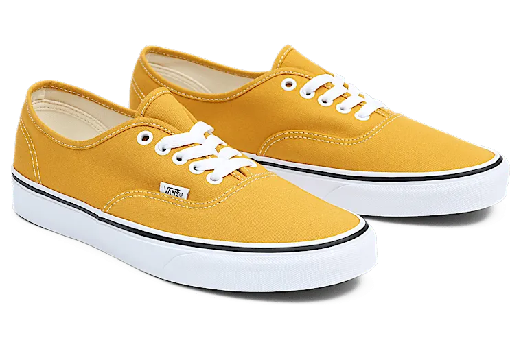Vans Authentic VN0A5JMPF3X