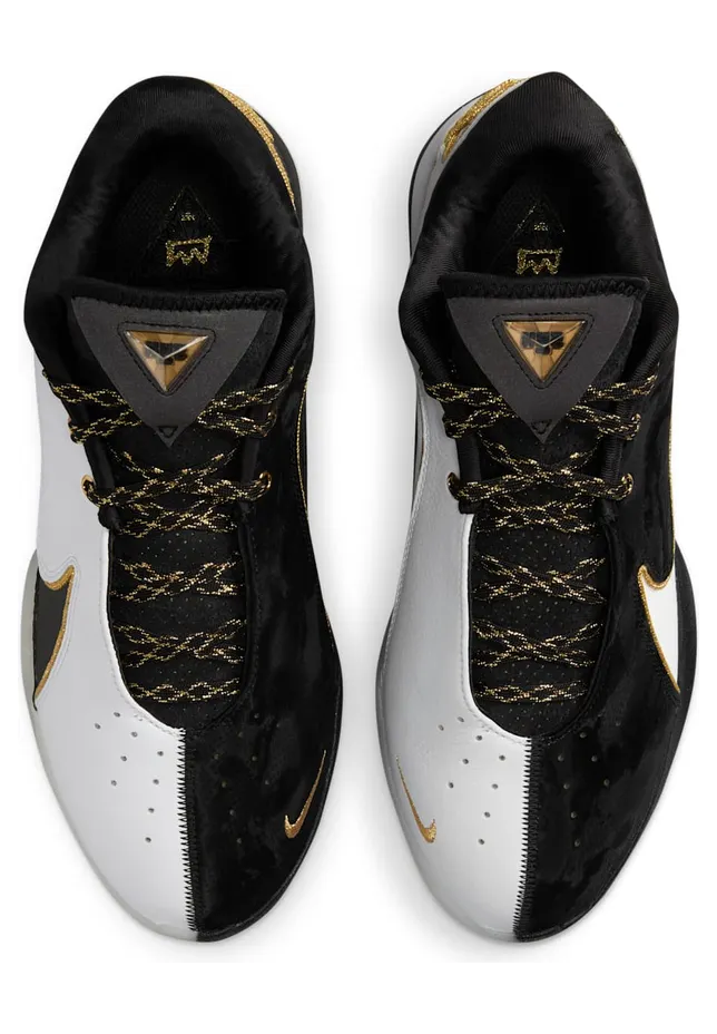 nike-lebron HV8454-100