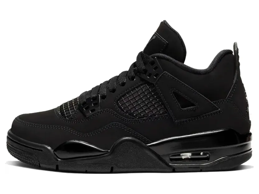 air-jordan-4 408452-010