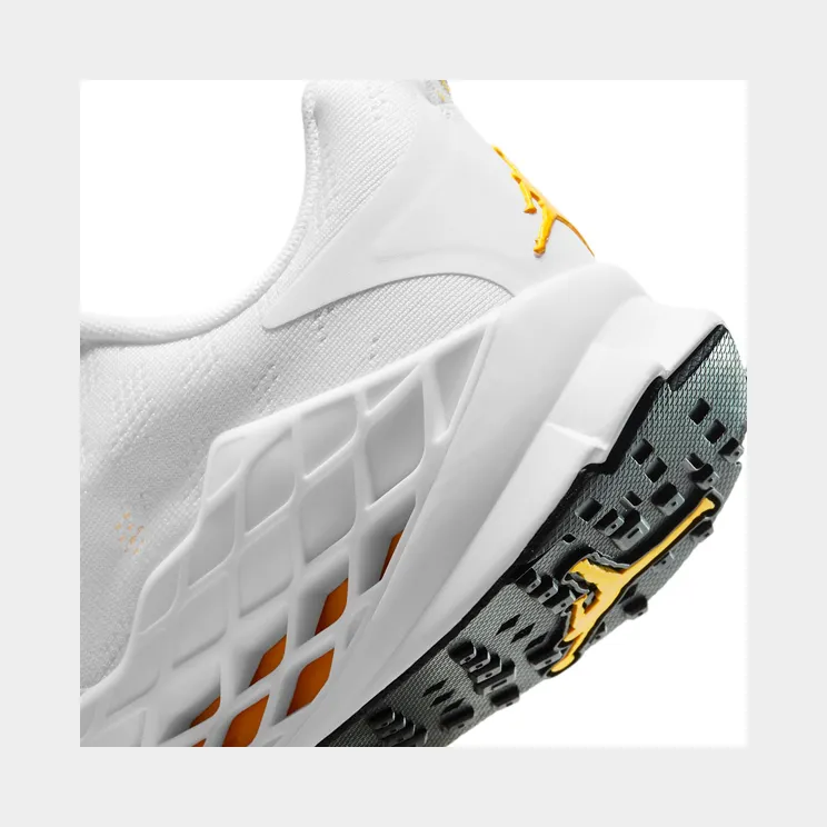 jordan-zoom-trunner CJ1494-108