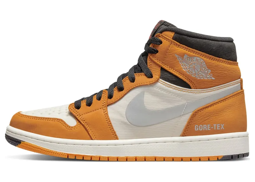 Air Jordan 1 DB2889-700